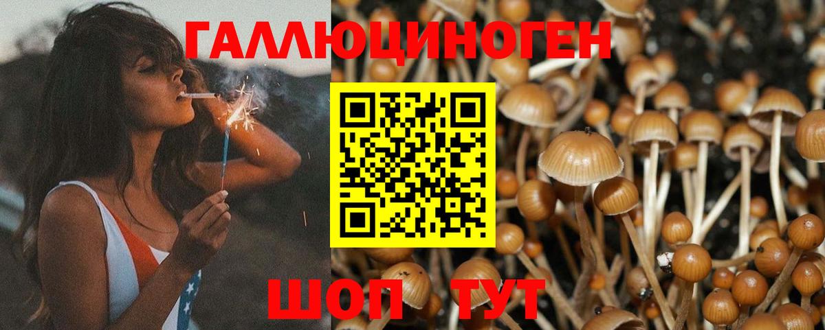 Галлюциногенные грибы мицелий Рязань