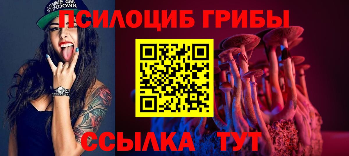 Псилоцибиновые грибы GOLDEN TEACHER  Псилоцибиновые грибы мухоморы  Вход с VPN  наркота  Рязань 